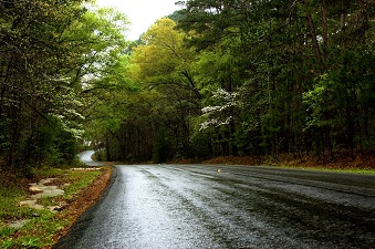 ParkRoad40 in Huntsville by Manh Hoang-Resized for CP.jpg